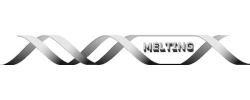 Melting-Logo
