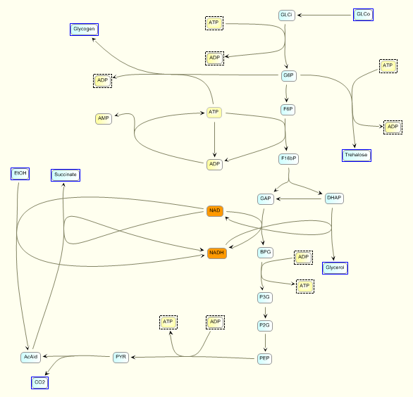 Yeast glycolysis model, JDesigner view